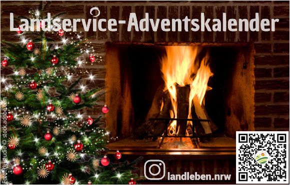 Landservice Adventskalender